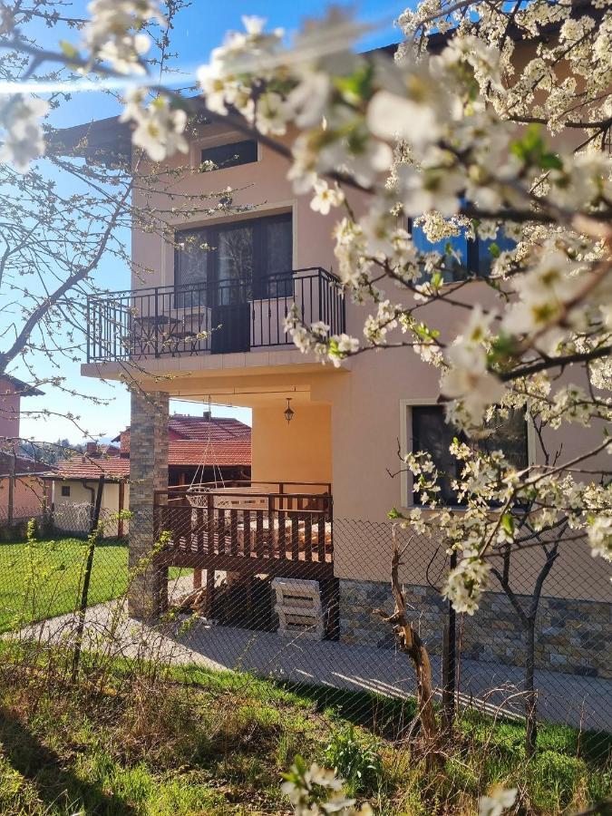 Bella Family Guest House ساباريفا بانيا المظهر الخارجي الصورة